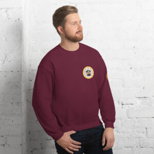 Sudadera marrón. Escudo DDM en la manga izquierda. Envío incluido.